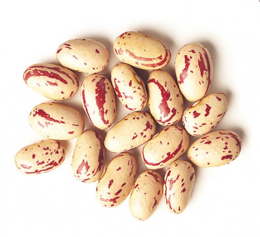 Cranberry beans